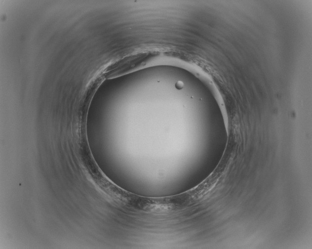 X0000072970352200608041224