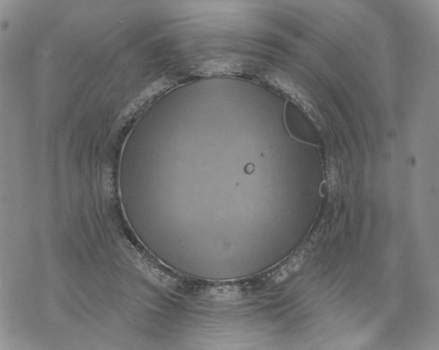 X0000072970353200608041224