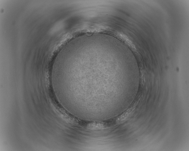 X0000072970354200608041224