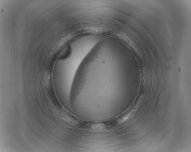 X0000072970355200608041224