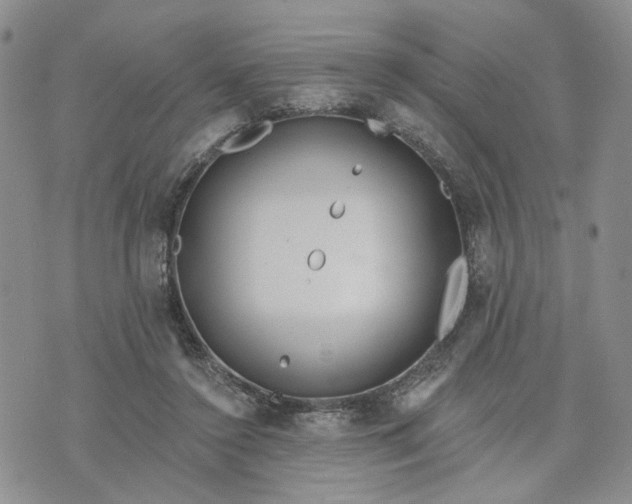 X0000072970356200608041224