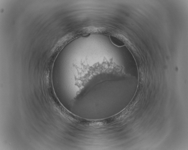 X0000072970357200608041224