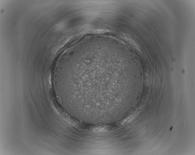 X0000072970358200608041224