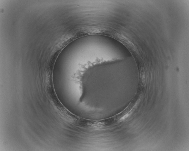 X0000072970359200608041224