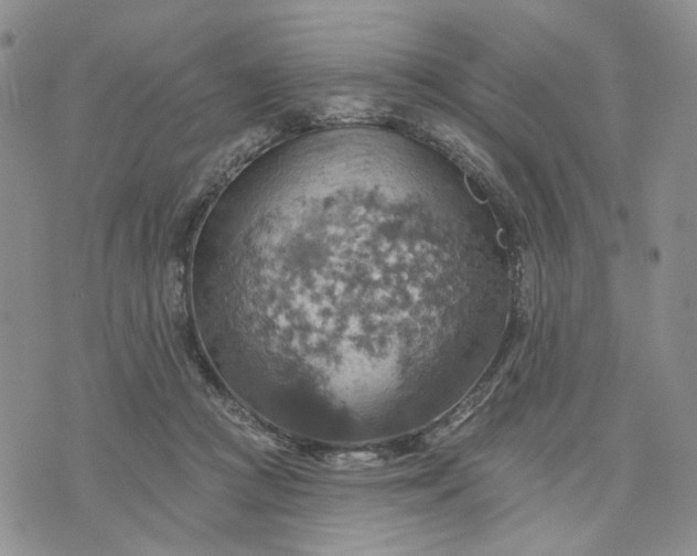 X0000072970361200608041224