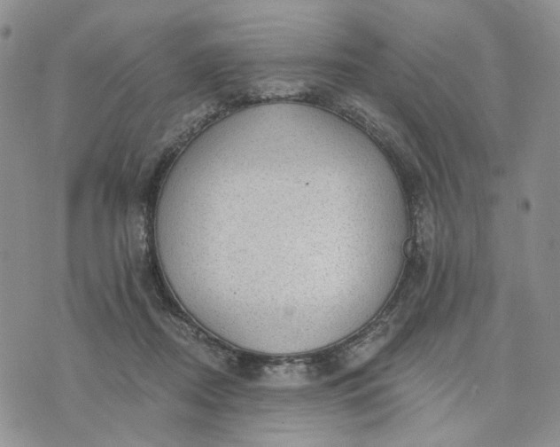 X0000072970362200608041224