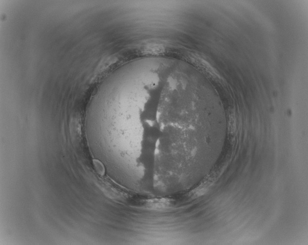 X0000072970363200608041224