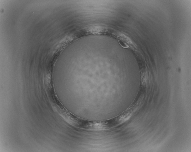 X0000072970365200608041224