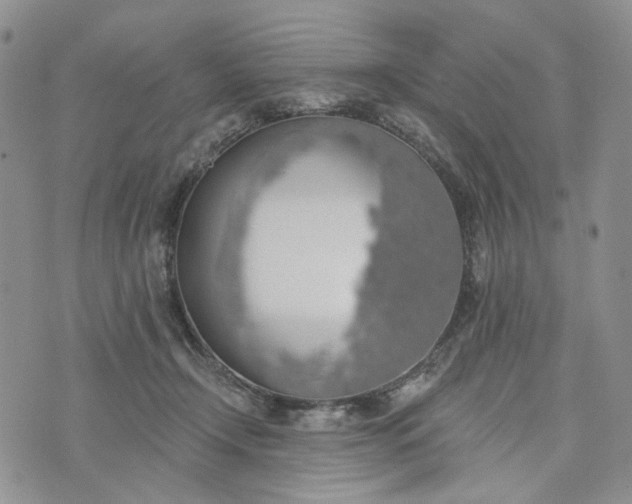 X0000072970366200608041224