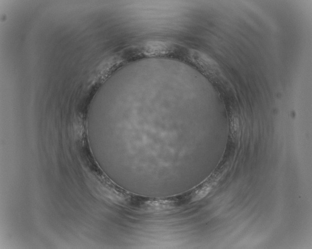 X0000072970367200608041224