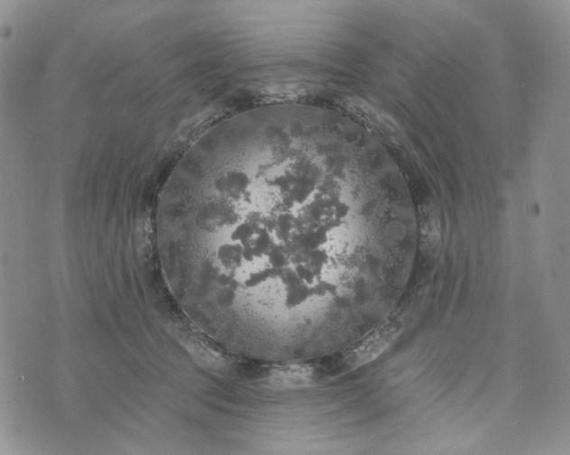 X0000072970369200608041224