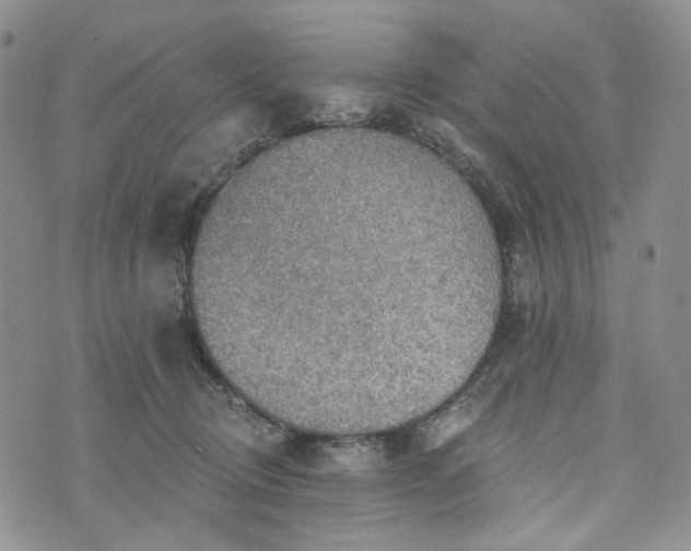 X0000072970370200608041224