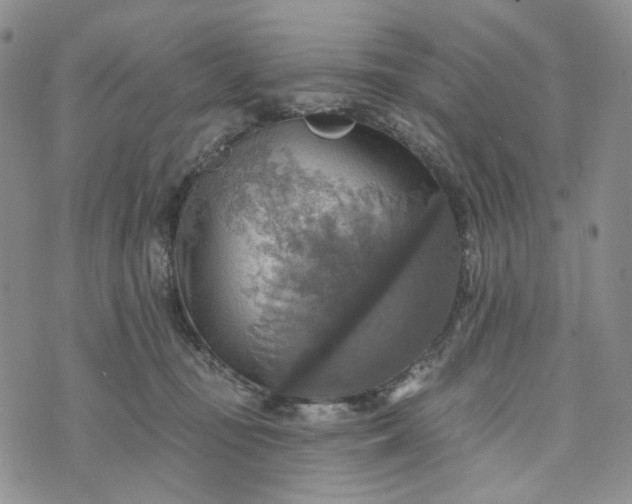 X0000072970371200608041224