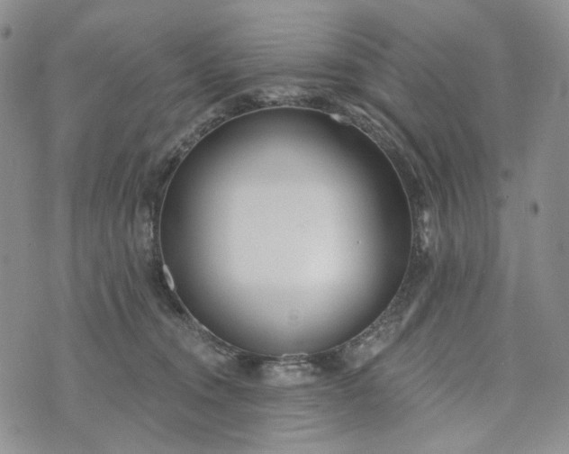 X0000072970372200608041224