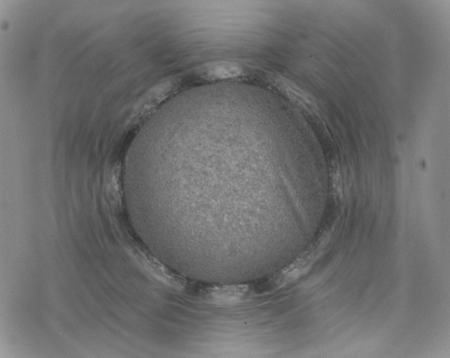 X0000072970373200608041224