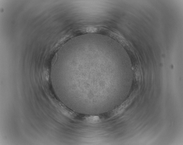 X0000072970374200608041224