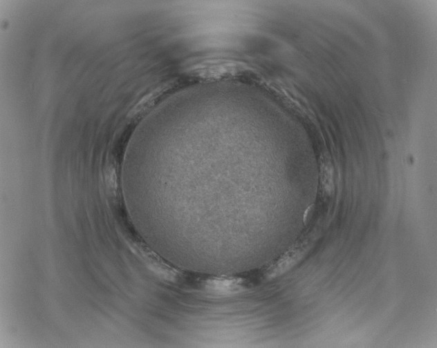 X0000072970375200608041224