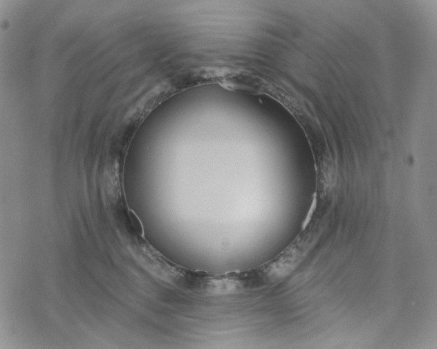 X0000072970376200608041224