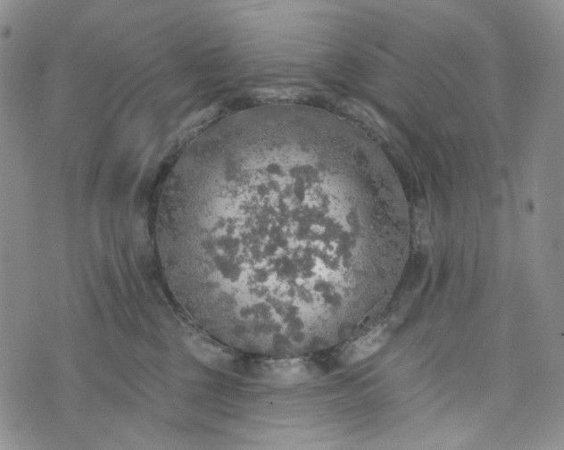 X0000072970377200608041224