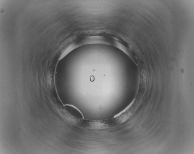 X0000072970380200608041224