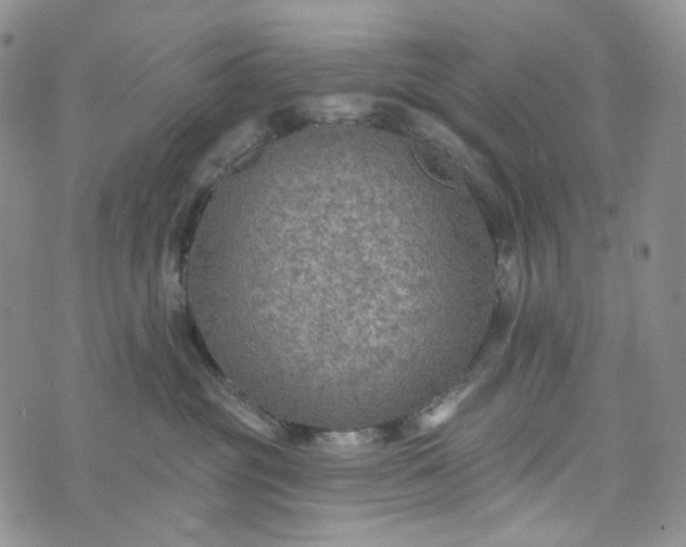 X0000072970381200608041224