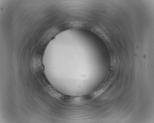 X0000072970382200608041224