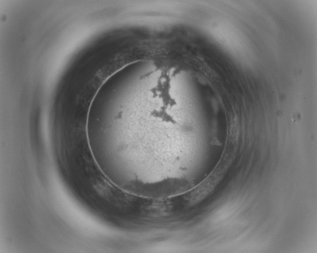 X0000072970383200608041224