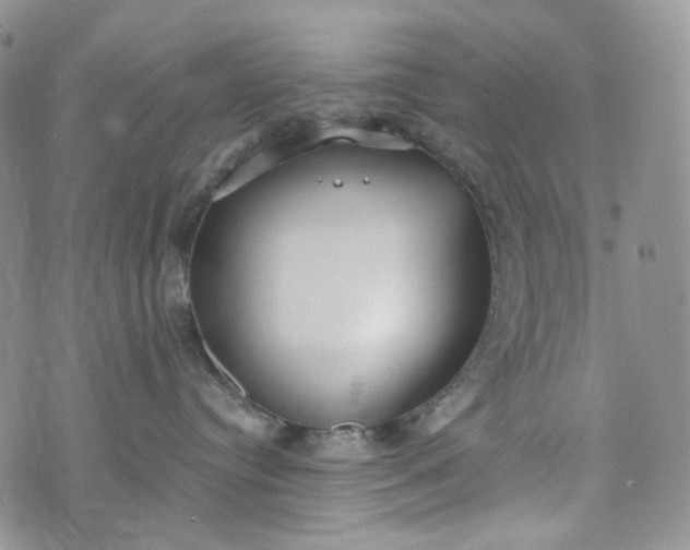 X0000072970384200608041224