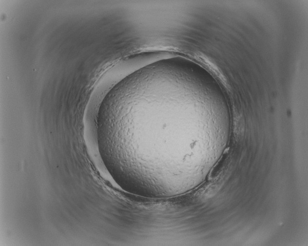 X0000072970385200608041223