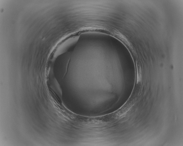 X0000072970387200608041223