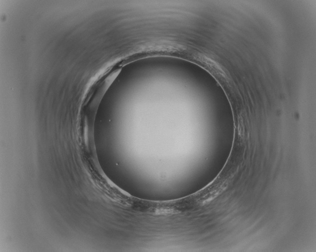 X0000072970388200608041223