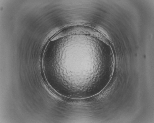 X0000072970389200608041223