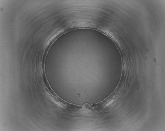 X0000072970390200608041223