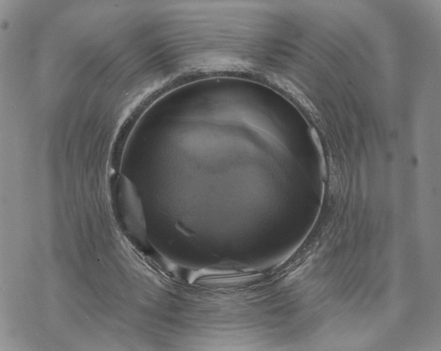 X0000072970391200608041223