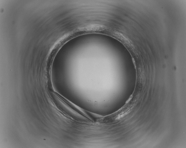 X0000072970392200608041223