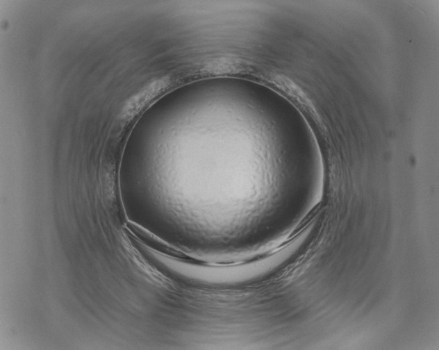 X0000072970393200608041223