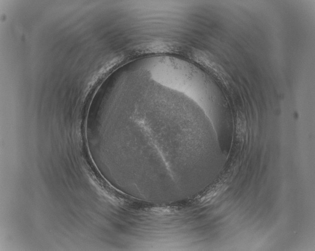 X0000072970394200608041223