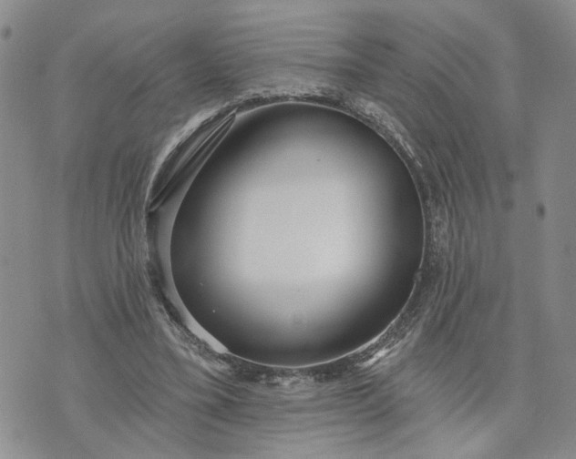 X0000072970395200608041223