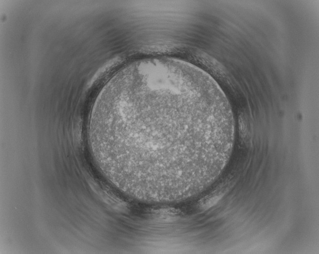 X0000072970396200608041223