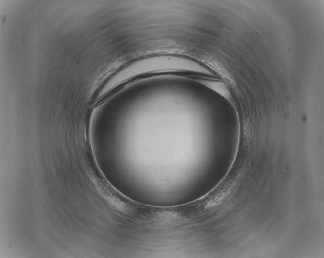 X0000072970397200608041223