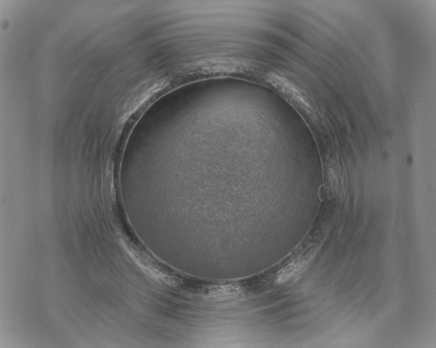 X0000072970398200608041223