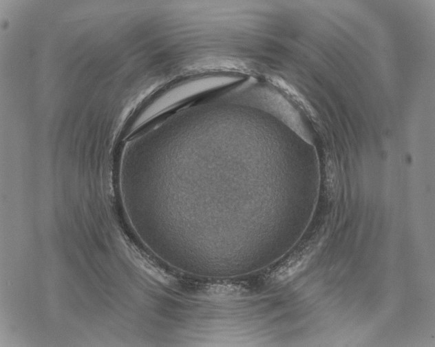 X0000072970399200608041223