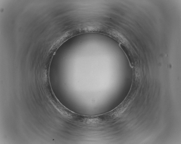 X0000072970401200608041223