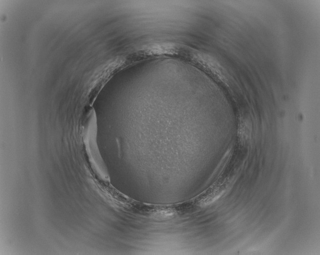 X0000072970402200608041223