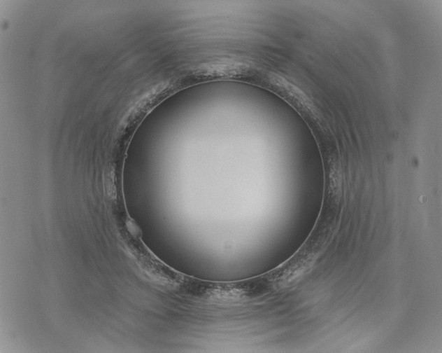 X0000072970403200608041223