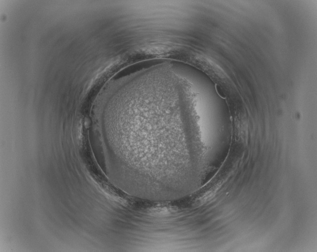 X0000072970404200608041223