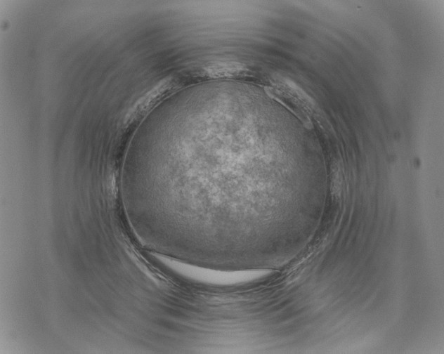 X0000072970405200608041223