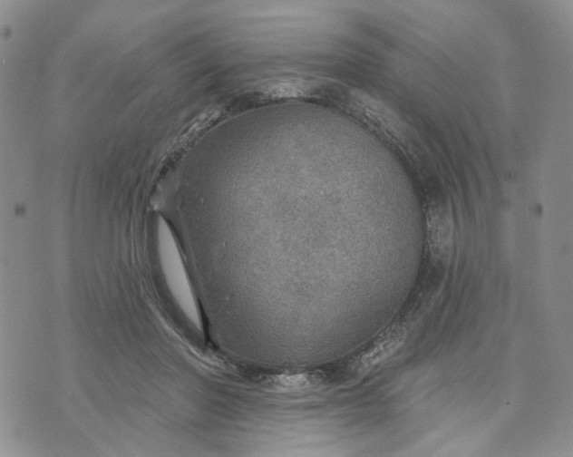 X0000072970406200608041223