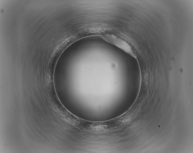 X0000072970407200608041223