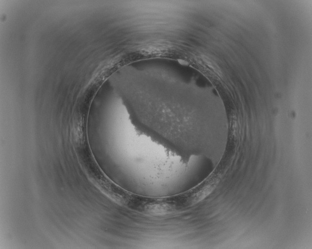 X0000072970408200608041223